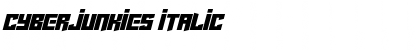 Download Cyberjunkies Font