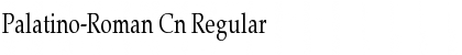 Download Palatino-Roman Cn Font Download Palatino-Roman Cn Font