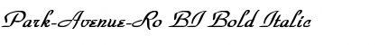 Download Park-Avenue-Ro BI Font Download Park-Avenue-Ro BI Font