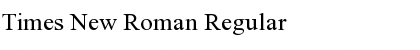 Download Times New Roman Regular Font