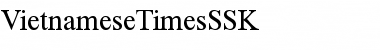 Download VietnameseTimesSSK Font