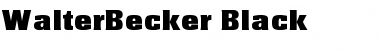 Download WalterBecker-Black Font