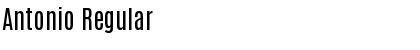 Download Antonio Font