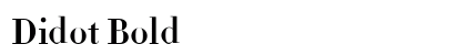 Didot Bold Font Didot Bold Font Preview
