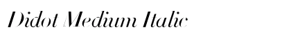 Didot Medium Italic Font Didot Medium Italic Font Preview