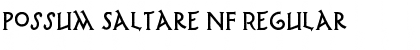 Download Possum Saltare NF Font