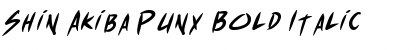 Download Shin Akiba Punx Bold Italic Font
