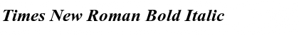 Download Times New Roman Bold Italic Font