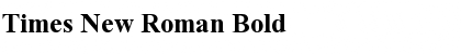 Download Times New Roman Bold Font