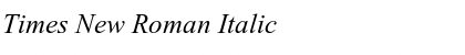 Download Times New Roman Italic Font