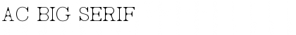 Download AC Big Serif Font