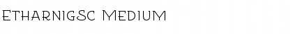 Download EtharnigSc Font