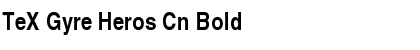 Download TeX Gyre Heros Cn Font Download TeX Gyre Heros Cn Font