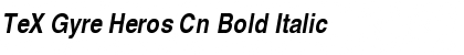 Download TeX Gyre Heros Cn Font