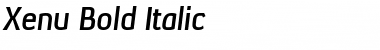 Download Xenu Bold Italic Font