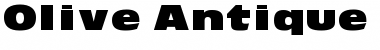 Download Olive Antique Black Extended Font