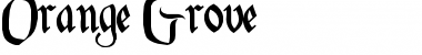 Download Orange Grove Font Download Orange Grove Font
