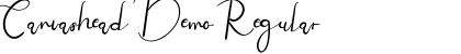 Download Canvashead Demo Font