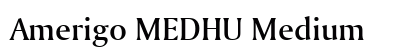 Amerigo MEDHU Medium preview