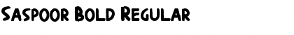 Download Saspoor Bold Font Download Saspoor Bold Font