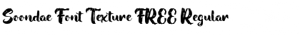 Download Soondae Font Texture FREE Regular Font