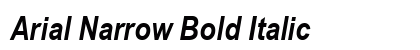 Arial Narrow Bold Italic Preview