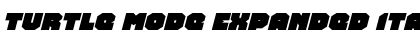 Download Turtle Mode Expanded Italic Font Download Turtle Mode Expanded Italic Font