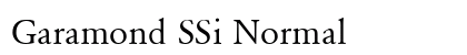 Garamond SSi Normal preview