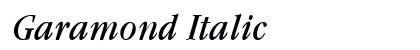 Garamond Italic Preview