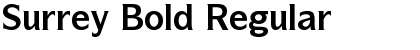 Download Surrey Bold Regular Font