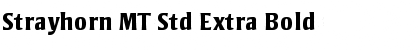 Download Strayhorn MT Std Extra Bold Font