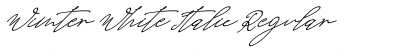 Download Wimter White Italic Font