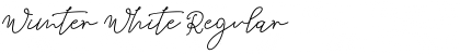 Download Wimter White Font