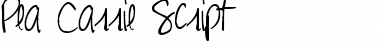 Download Pea Carrie Script Regular Font