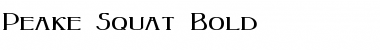 Download Peake-Squat Bold Font