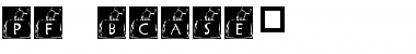 Download pf_bcase2 Font Download pf_bcase2 Font
