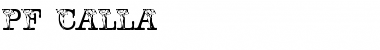 Download pf_calla Font Download pf_calla Font