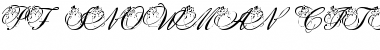 Download pf_snowman citadel Font Download pf_snowman citadel Font