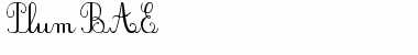 Download PlumBAE Font