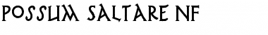 Download Possum Saltare NF Font
