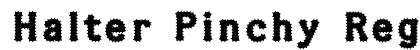 Halter Pinchy Regular preview