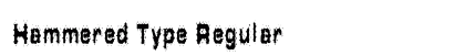 Hammered Type Regular preview
