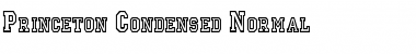 Download Princeton Condensed Font