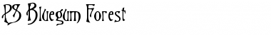 Download PS Bluegum Forest Font