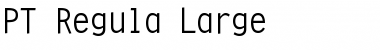 Download PT Regula Large Font Download PT Regula Large Font