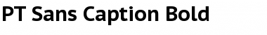Download PT Sans Caption Font Download PT Sans Caption Font