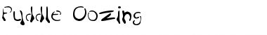 Download Puddle Font