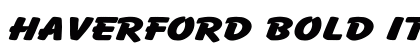 Haverford Bold Italic Regular preview