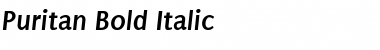 Download Puritan Font