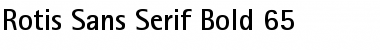 Download RotisSansSerif Font